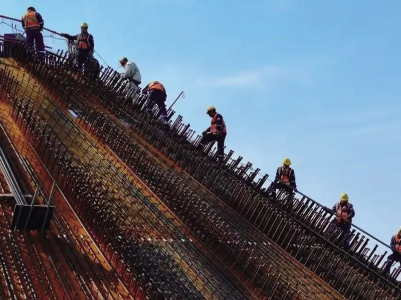 Dự án Nhà máy Điện hạt nhân Sanwan